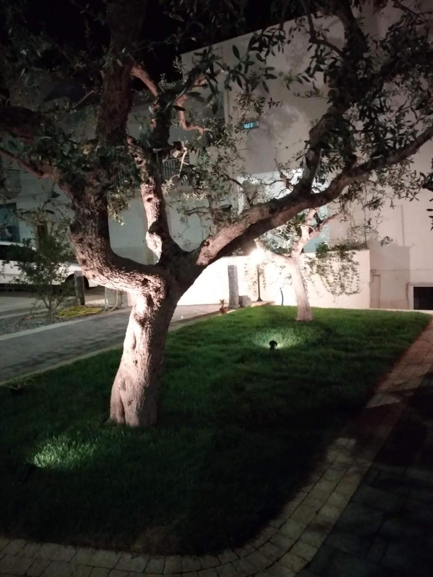 Apartamento I Cinque Ulivi Alberobello Exterior foto