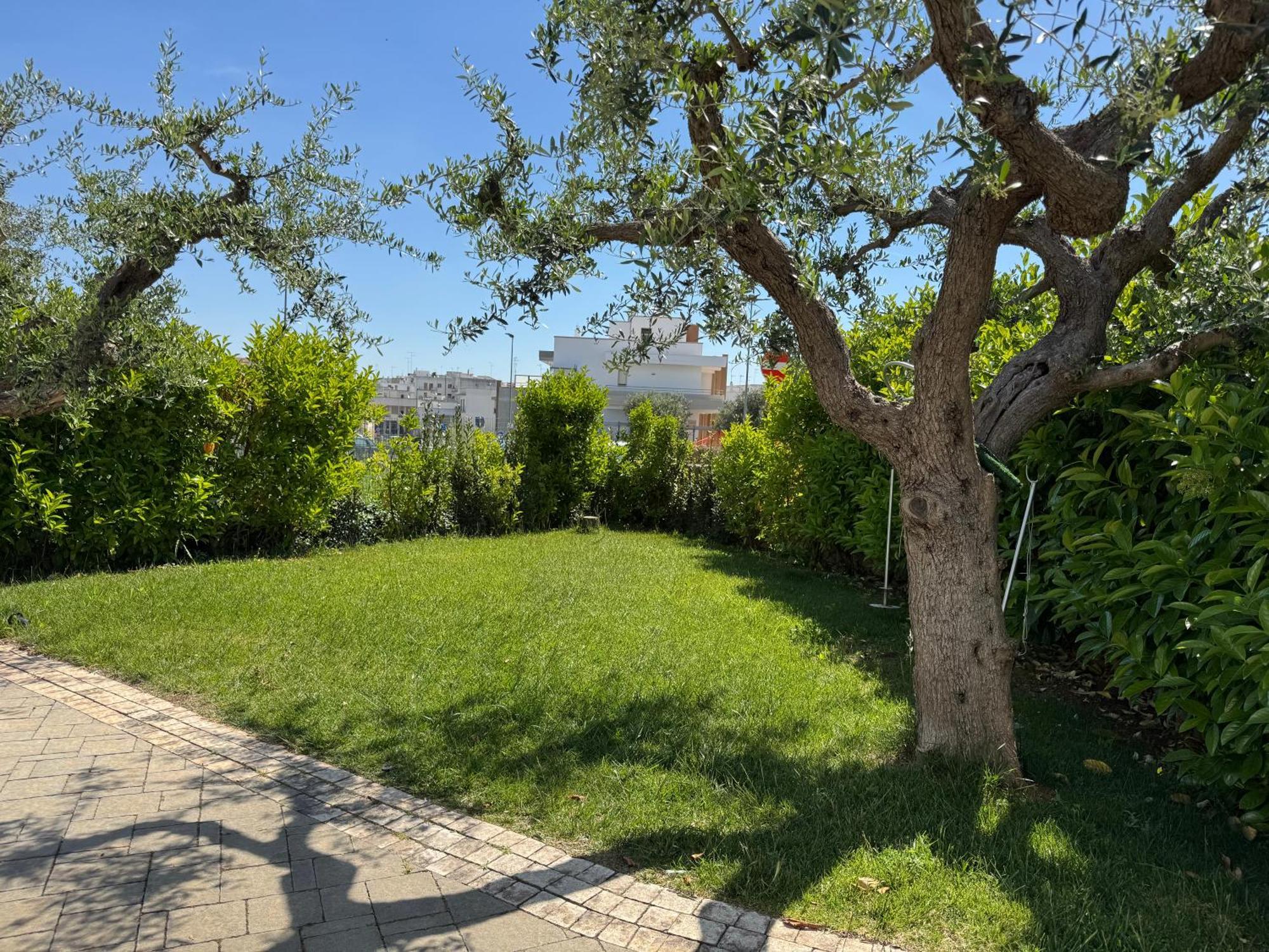 Apartamento I Cinque Ulivi Alberobello Exterior foto